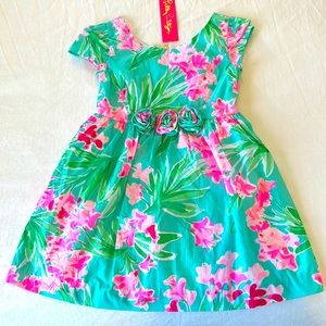 Lilly Pulitzer Momoa Dress
